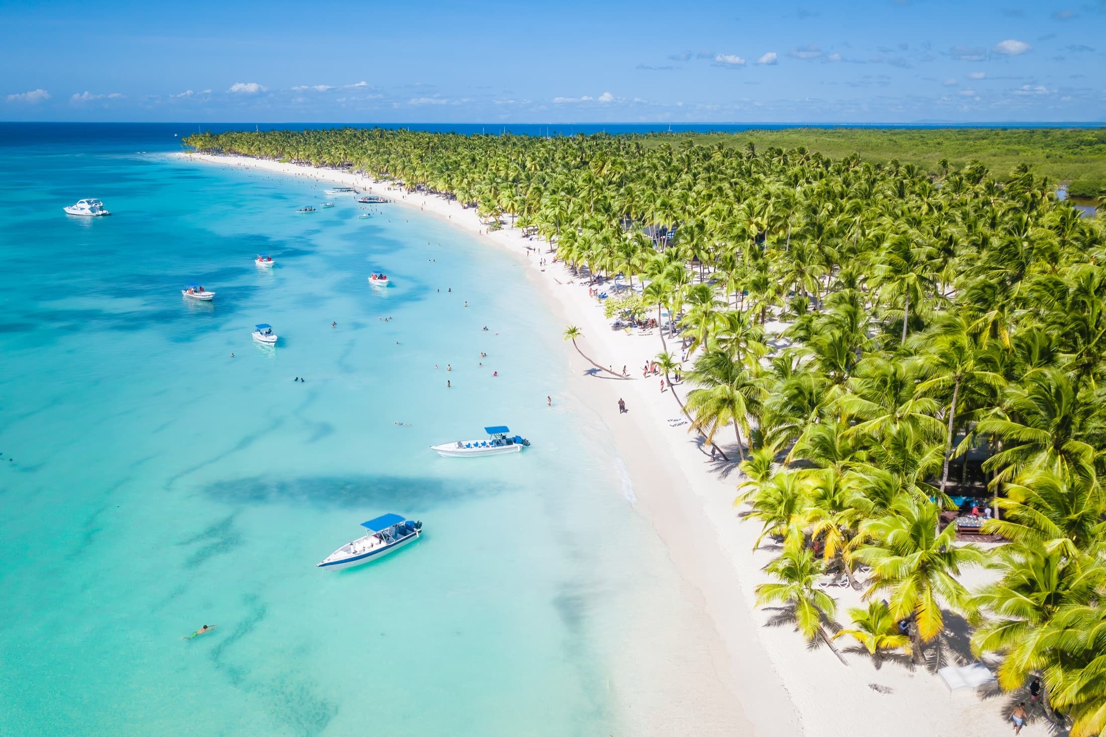 Palm-lined coastline near Bayahibe