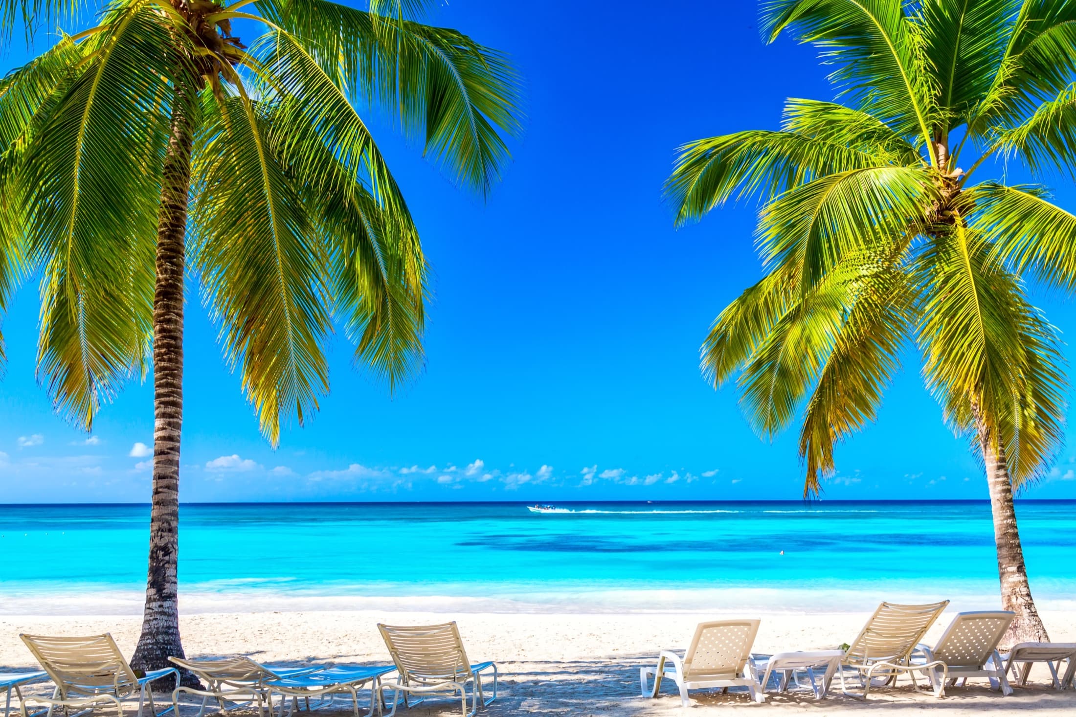 Palm-lined beach near Villa Bella Bayahibe